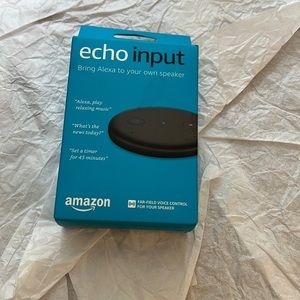 Amazon Echo Input